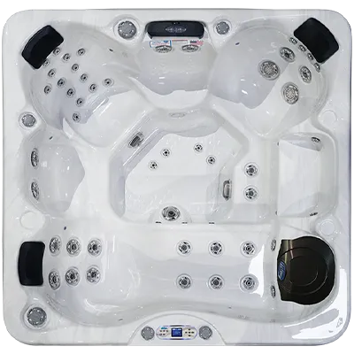 Avalon EC-849L hot tubs for sale in Vacaville