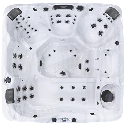 Avalon EC-867L hot tubs for sale in Vacaville