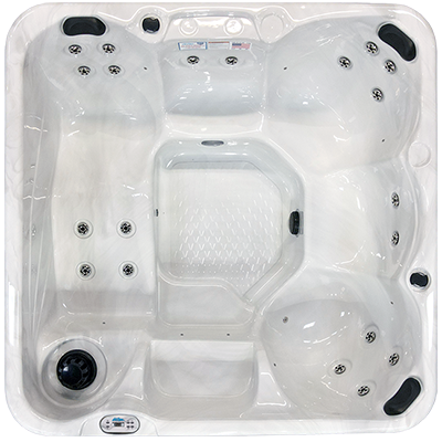 Hawaiian PZ-620L hot tubs for sale in Vacaville